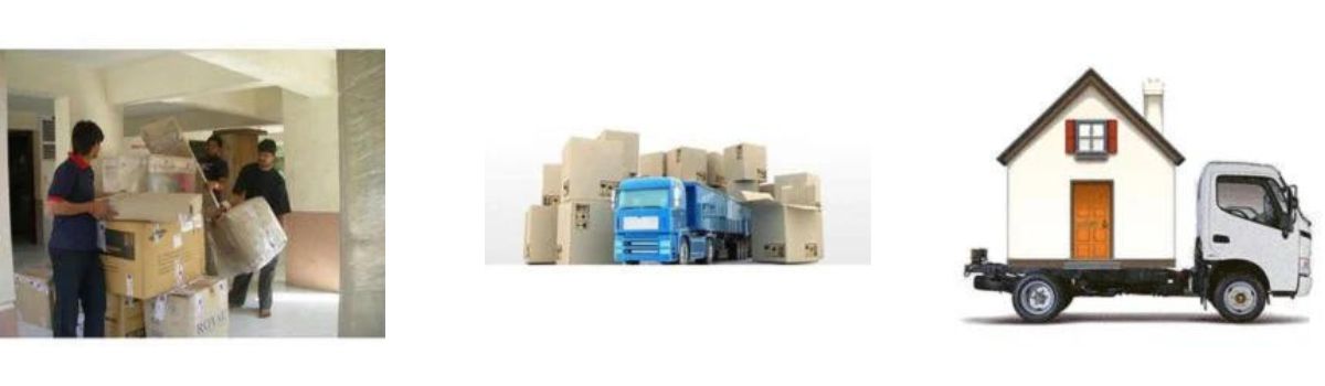 Professional Services, Packers and Movers,